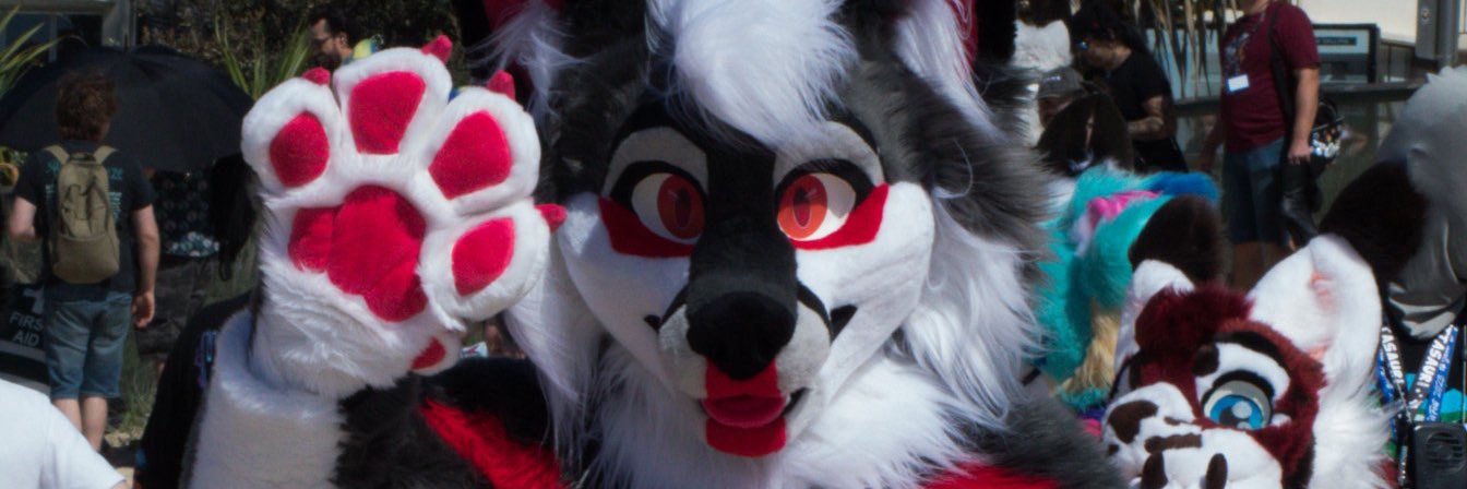 Striker 🦊's banner
