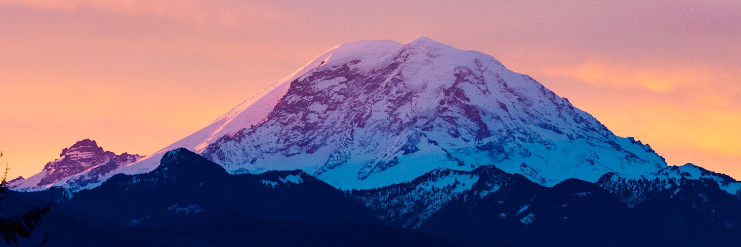 bellamclaws's profile banner image