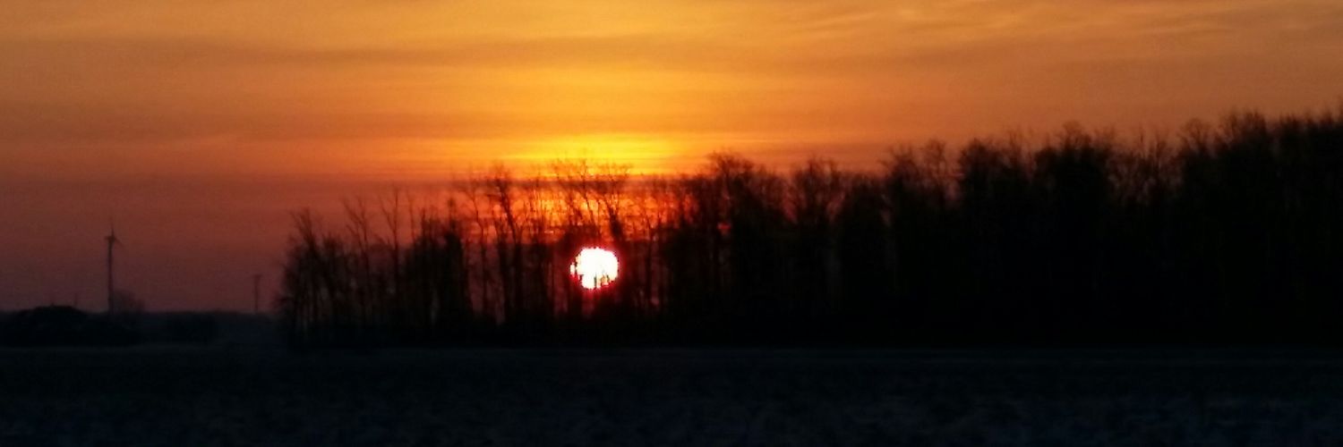 cyndi007's profile banner image