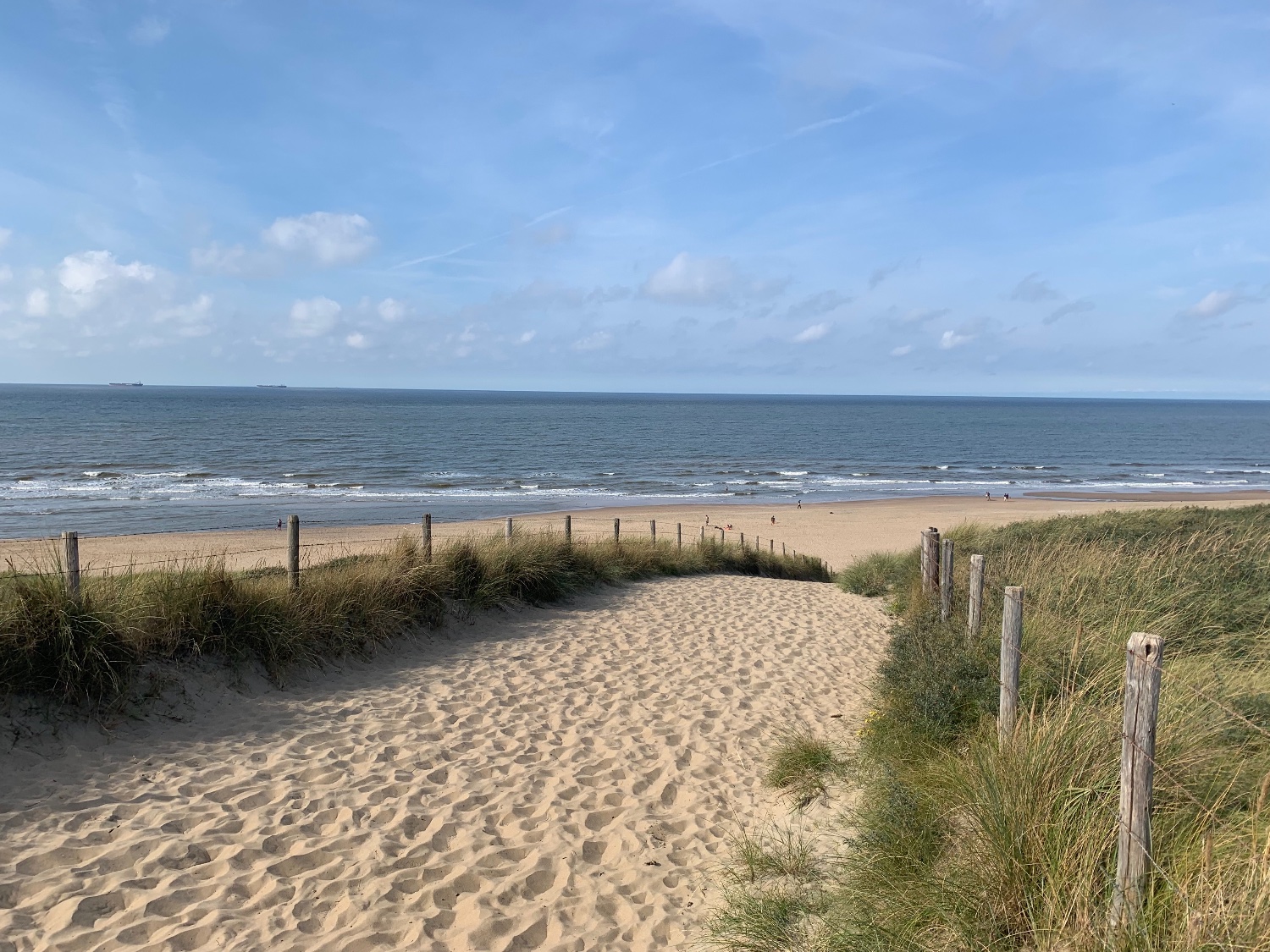 marek kuczyński 🌻 banner