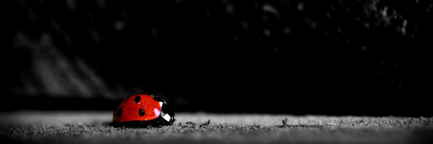 ekvatoria's profile banner image