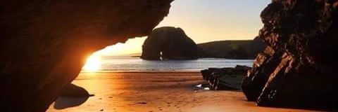 Margaret O'Sullivan banner