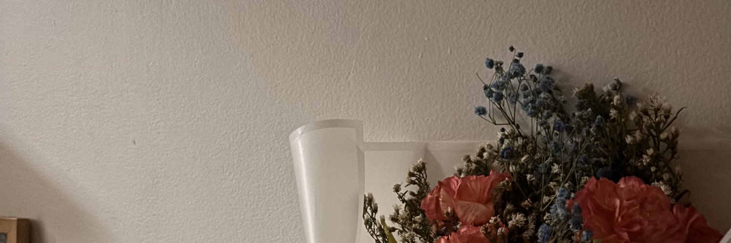 aerismgn's profile banner image