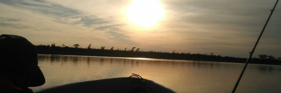 maximiliano Mazzon banner