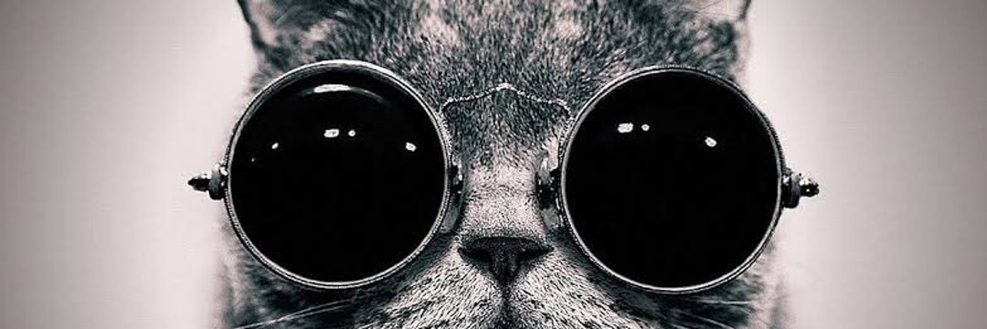 mysjdjs's profile banner image