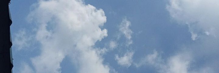 syafputri's profile banner image