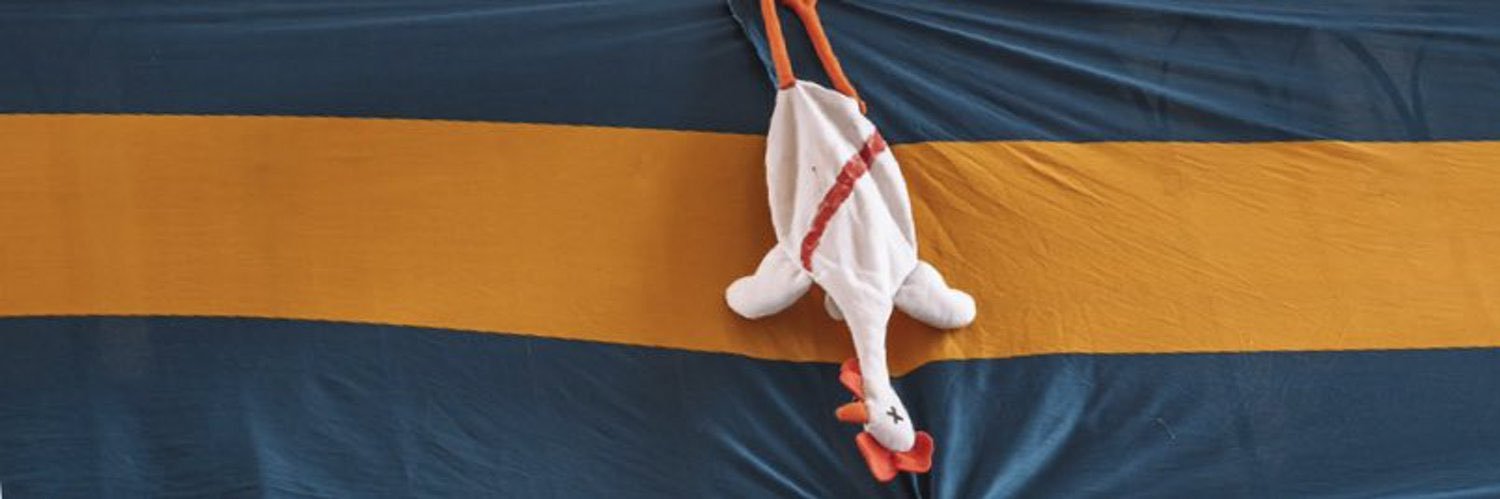 jazchifor's profile banner image