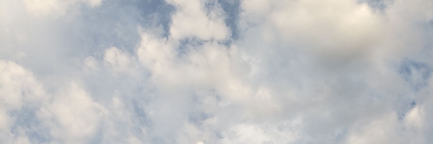 Mary Bee banner
