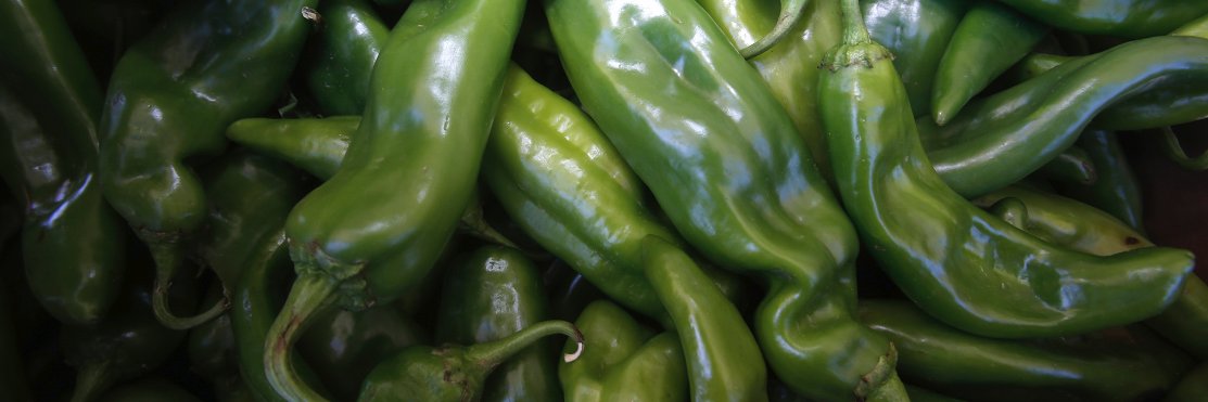 TheDailyTimes banner