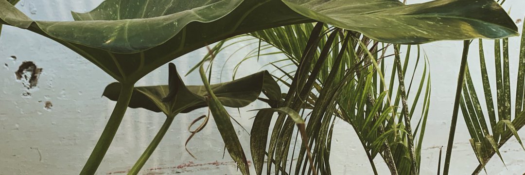 ArisaYunus's profile banner image