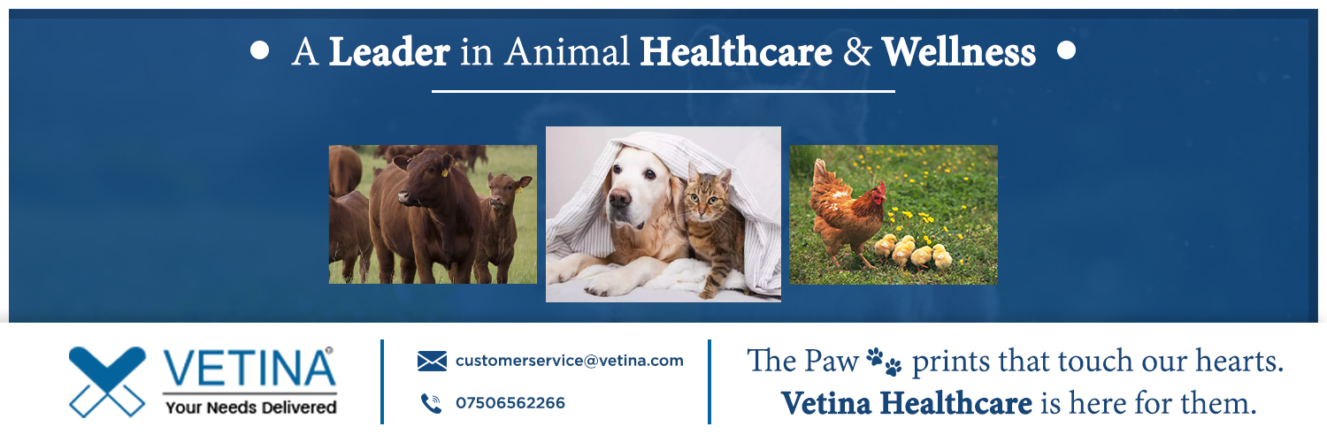 VetinaHealthca1's profile banner image