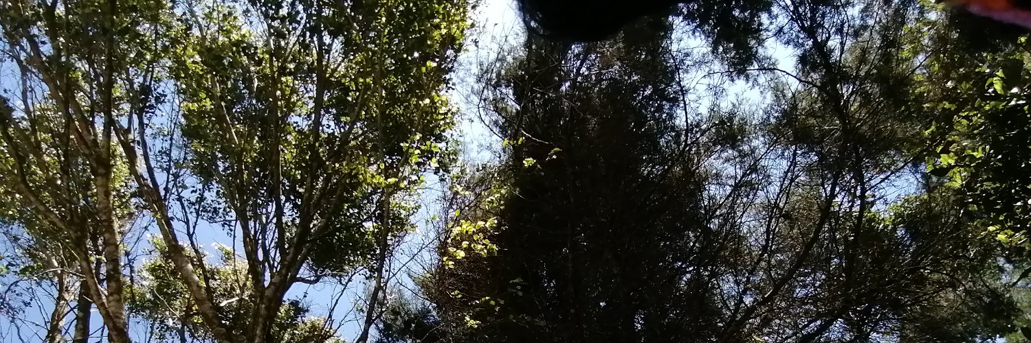 jamm1105's profile banner image