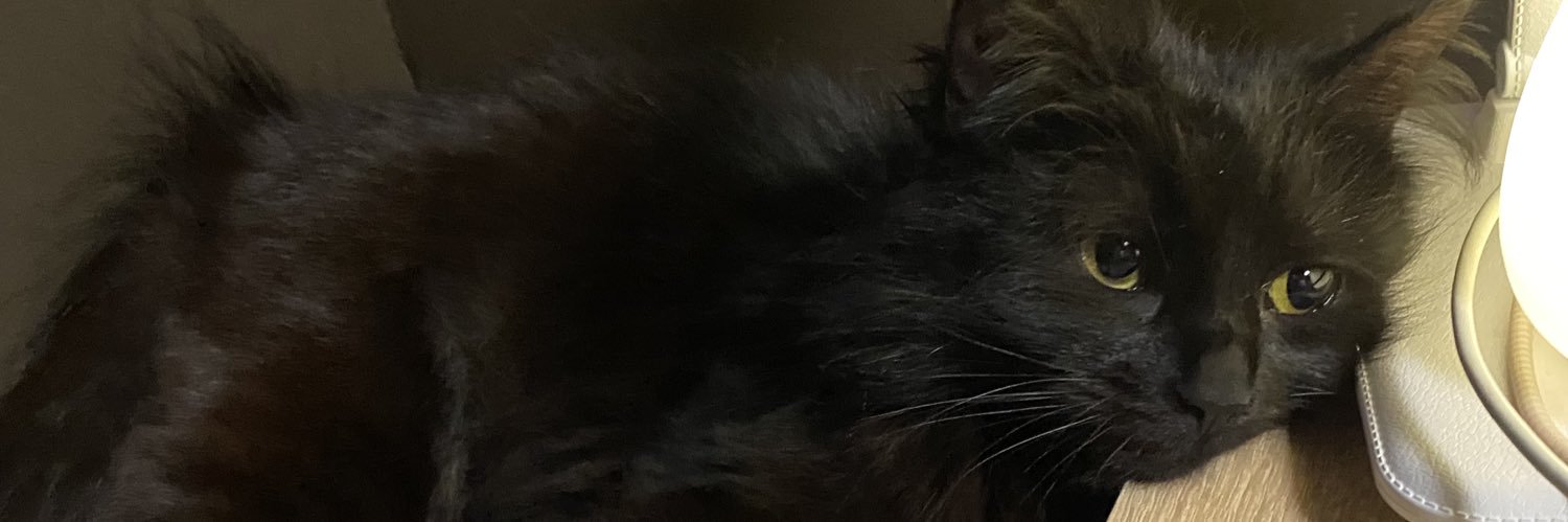 𝐜𝐡𝐢𝐟 banner