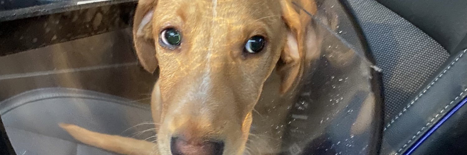 JoshuaRyanPerez's profile banner image
