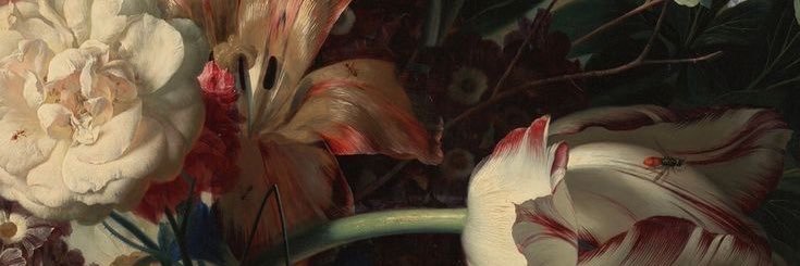 fio banner