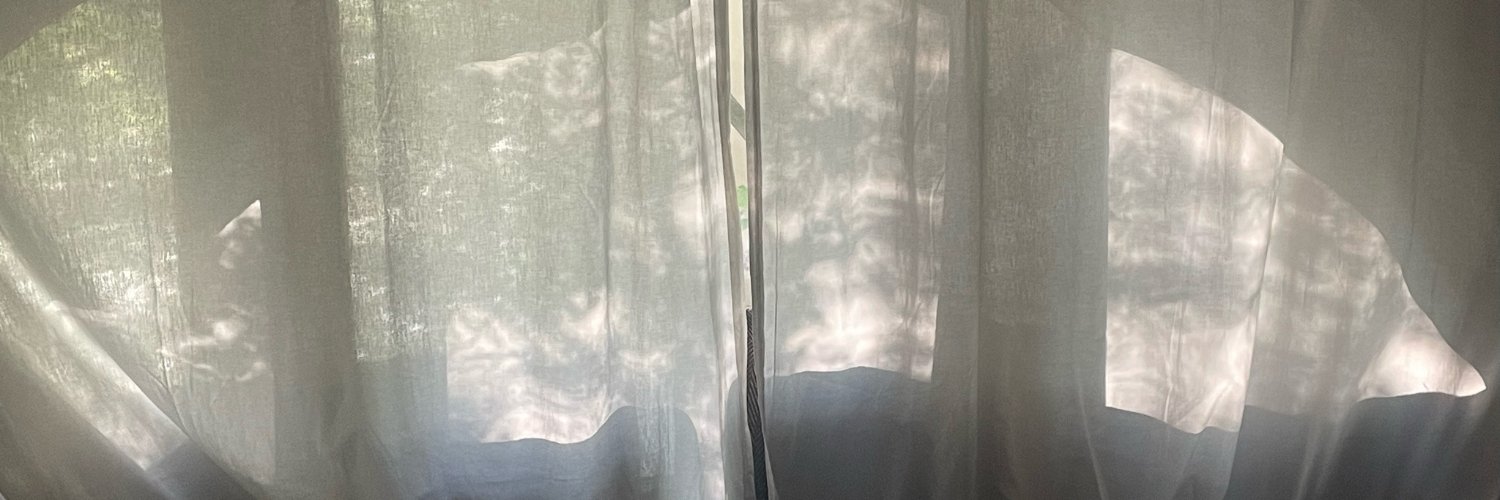 wheresnowfell's profile banner image