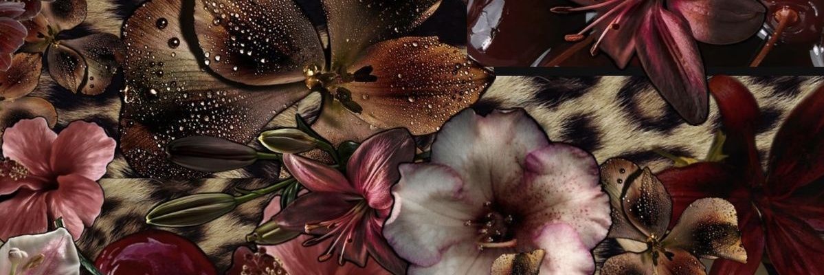 𝓢hireen banner