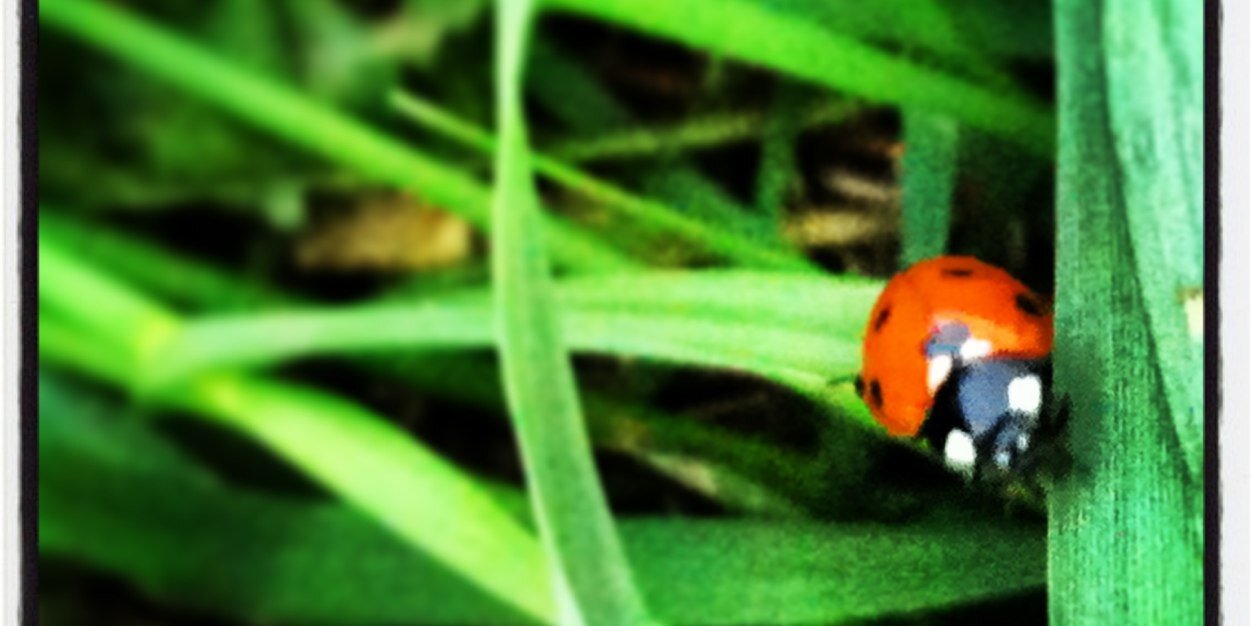 ArtySpangles's profile banner image