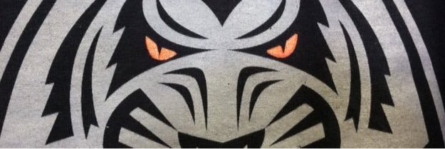 GoOrangeBlack's profile banner image