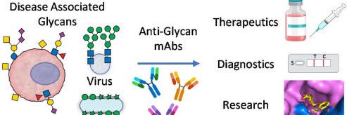 Keith O’Shaughnessy banner