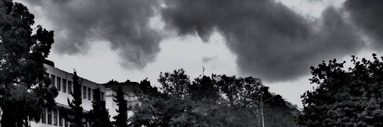 msutu_'s profile banner image