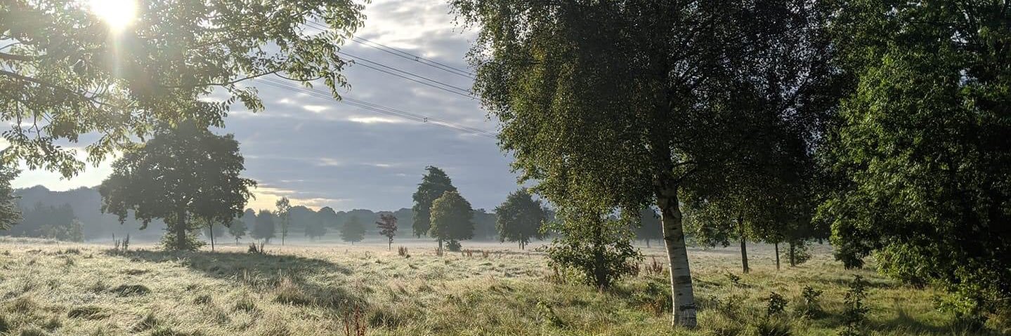 CllrKateS's profile banner image