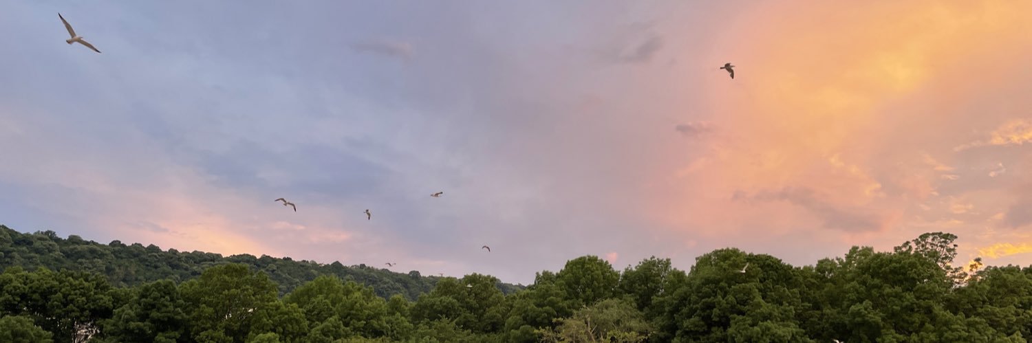 Dim0AtA banner
