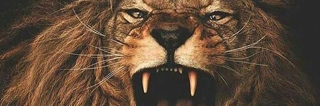 _iamLuggy's profile banner image