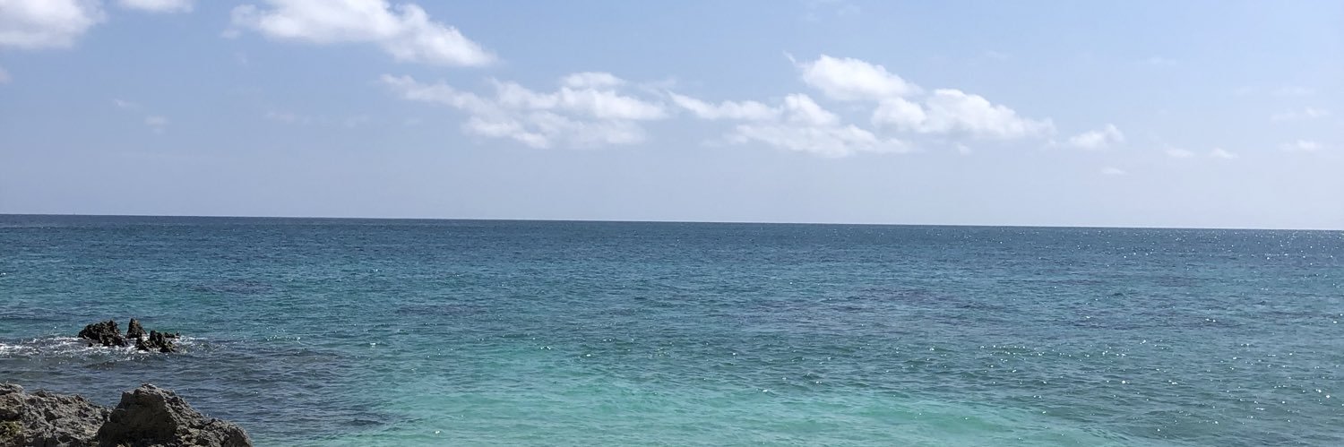 なん・佐川・抜け首 banner