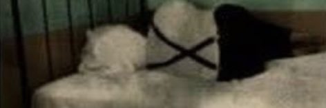 bmgezer's profile banner image