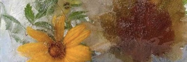 SheLuvsTruth Profile Banner