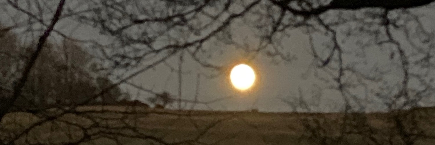 MattScott 🏴󠁧󠁢󠁳󠁣󠁴󠁿 banner