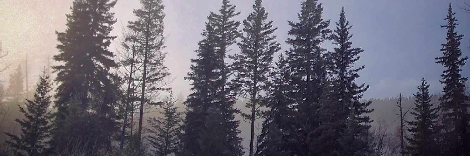 EmilyInKamloops's profile banner image