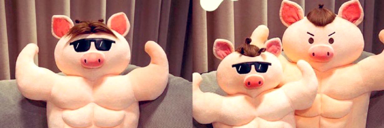 ข้าวผัดหมู (ซันๆ) คนดีคนเดิม's banner