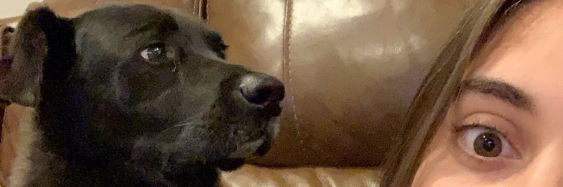 JuliaSzigethy's profile banner image