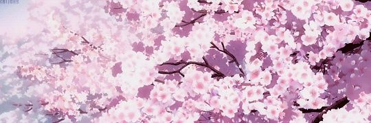 CosmicCrystalz's profile banner image