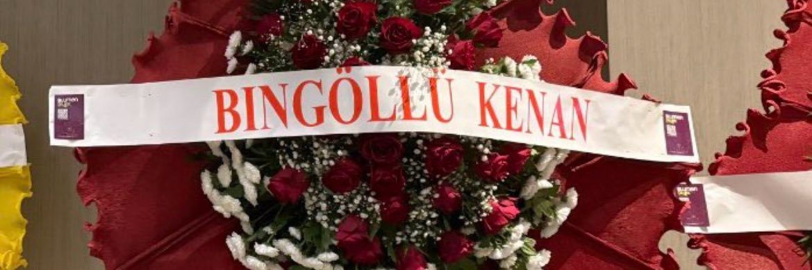 AYŞENUR banner