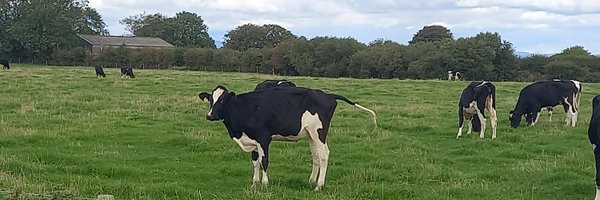 NotThatHughes Profile Banner