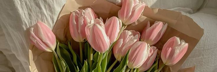 튤립🌷 banner