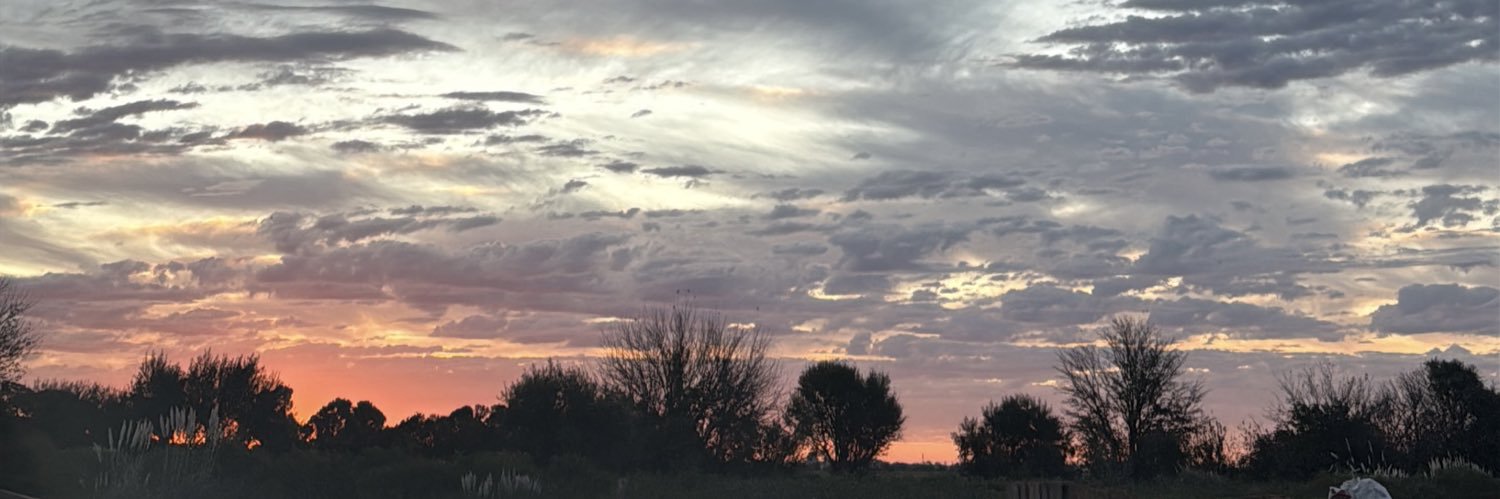 elisarmientoo's profile banner image