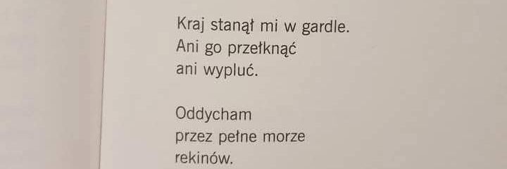 Stefania Szy. Lejsa banner