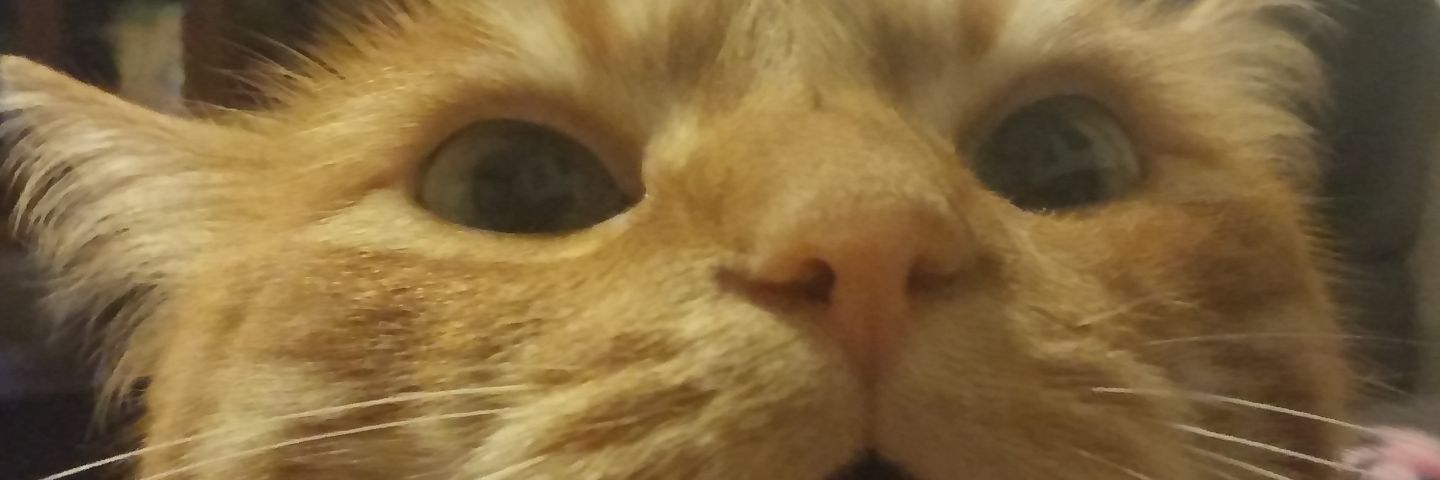 M_Jaed's profile banner image