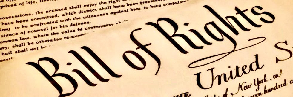 RealBrooklynRepublicans banner