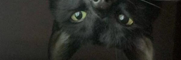 Rockabyee_ Profile Banner