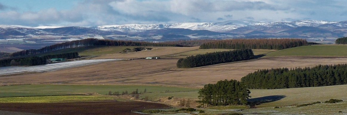 Angus Rural Partnership's banner