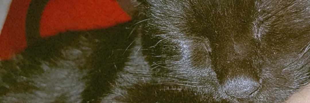 Tia Dreew 🎀🩷 banner