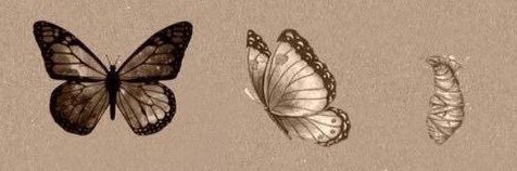 neslimoo's profile banner image