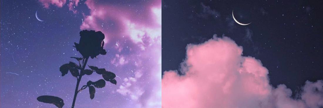 Lav banner