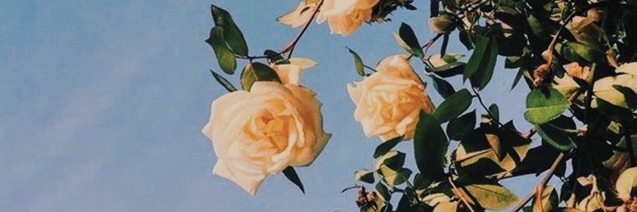 simonaxox_'s profile banner image