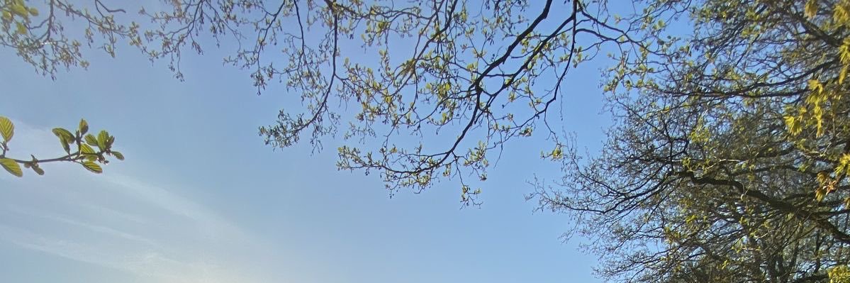 _lilR0's profile banner image